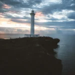 Are Okinawan Memory Beans Available Outside Japan?