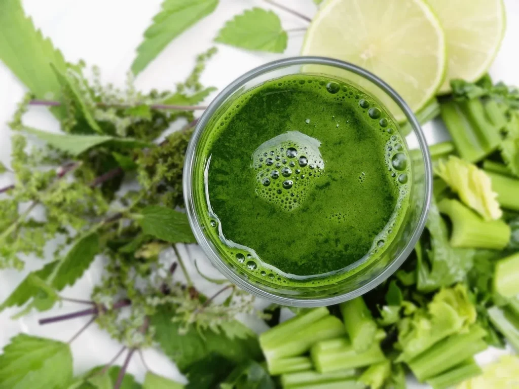 Exploring the Benefits of Cucumber Water for Detoxing