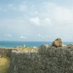 Exploring What is the Okinawan Memory Bean?