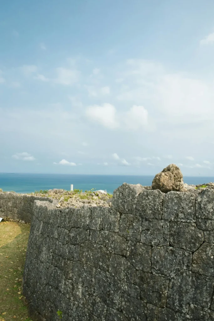 Exploring What is the Okinawan Memory Bean?