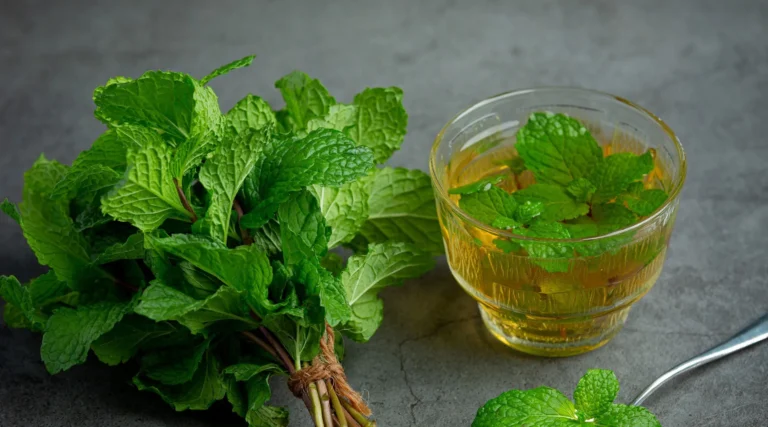 Uncover the Weight Loss Advantages of Lemon Balm