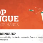 Dengue Fever Outbreak: Guidelines for Prevention