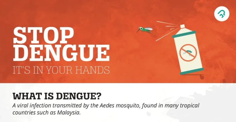 Dengue Fever Outbreak: Guidelines for Prevention