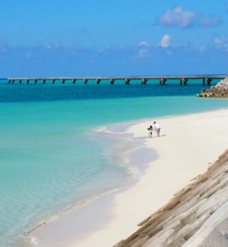 Exploring How Often Okinawans Eat Fish