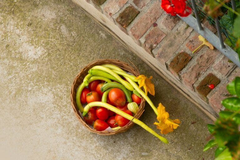 Exploring Mediterranean Diet Meal Plans