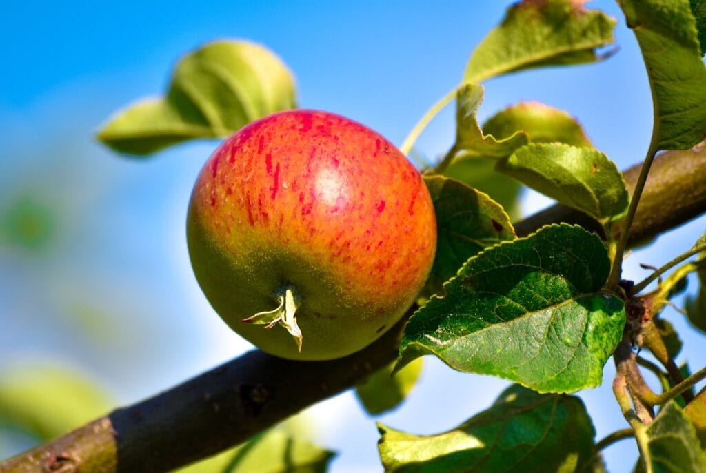 Is Sweating A Sign Of Detoxification?