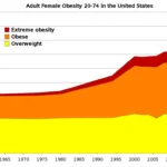 Obesity Epidemic: The Alarming Rise in Obesity Rates in America