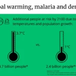 The International Affect of Dengue Fever