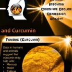 Curcumin: The Secret Ingredient for Optimal Health and Wellness