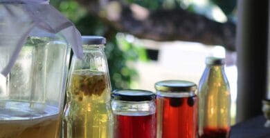 Exploring Mitolyn: Can It Improve Gut Health For Sustainable Weight Management? Exploring Mitolyn: Can It Improve Gut Health For Sustainable Weight Management?