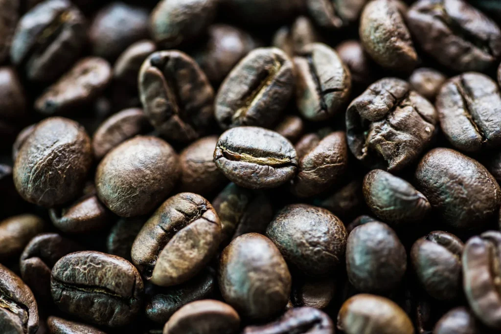 From Elephant Dung to Gourmet Brew: The Fascinating Story of Black Ivory Coffee