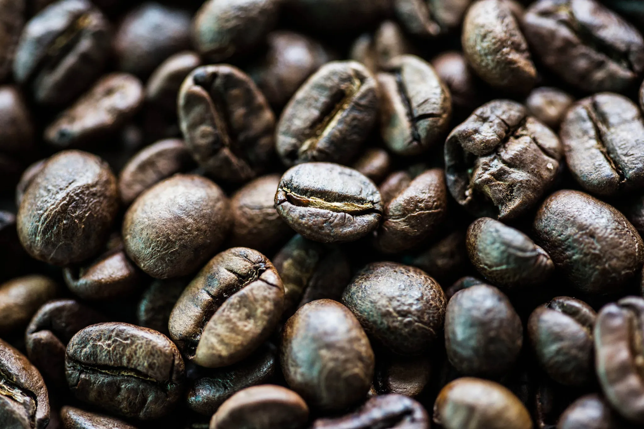 From Elephant Dung To Gourmet Brew: The Fascinating Story Of Black Ivory Coffee