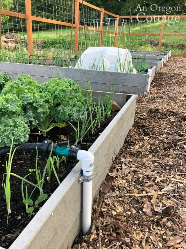 How to Build Your Own DIY Water System in 5 Easy Steps