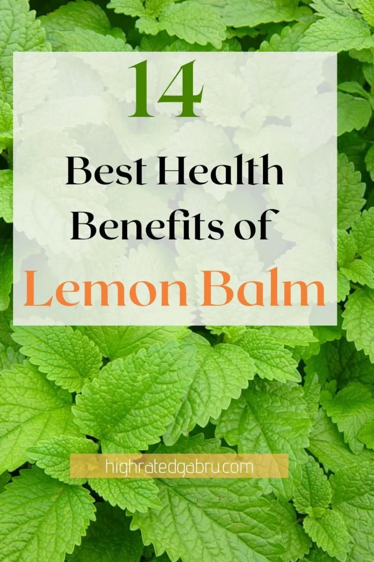 Lemon Balm: The Superfood for Slimming Down