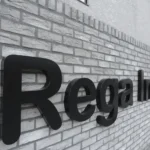 New Research and Developments in the Fight Against Dengue Fever