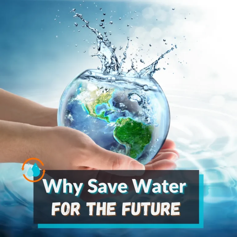 Revolutionizing Water Conservation: The Benefits of Green Water Harvesting
