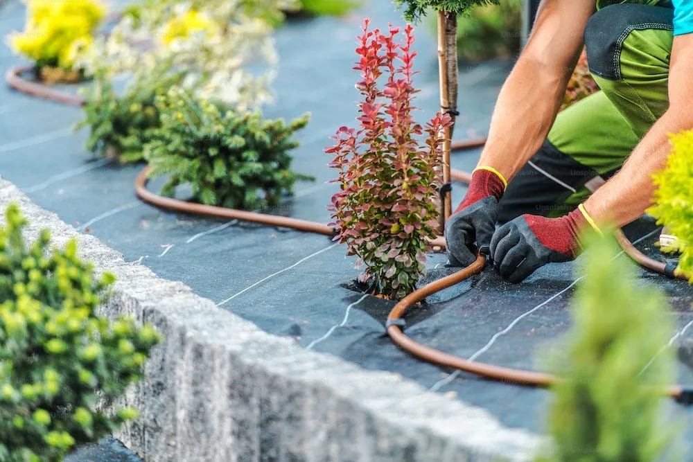 Revolutionizing Water Management: The Latest Innovations in Water Systems