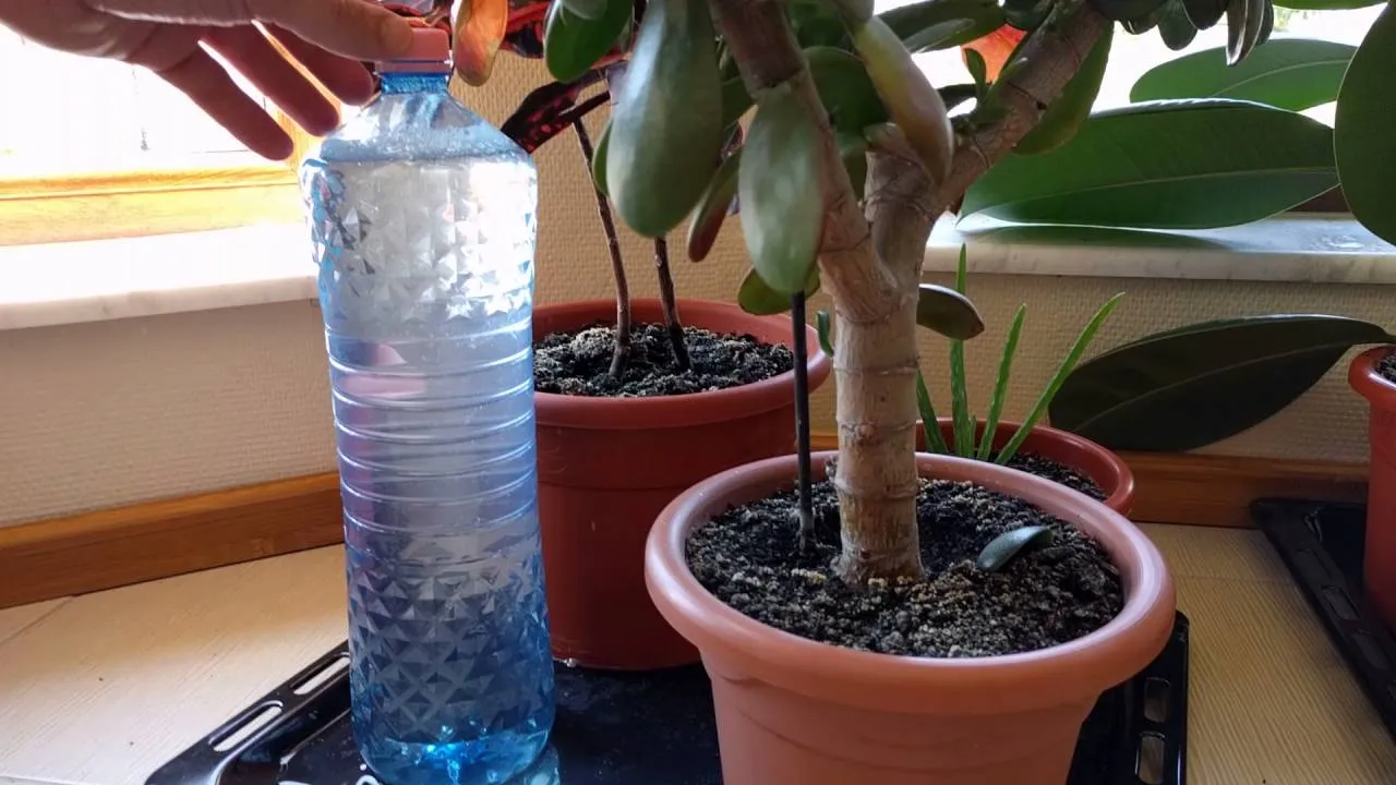 Save Money and Go Green with These DIY Water System Projects Save Money and Go Green with These DIY Water System Projects