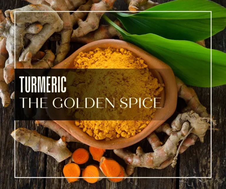 The Healing Power of Turmeric: How This Golden Spice Can Benefit Your Health