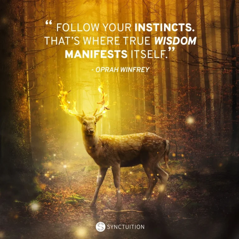 Unlocking the Power of Instincts: How Our Natural Abilities Shape Our Decisions