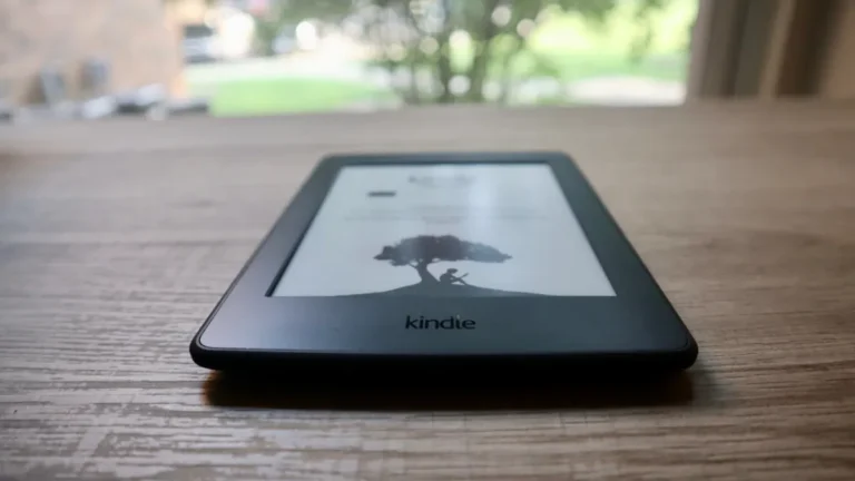 Download Your Kindle Books While You Still Can