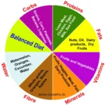 The Key to a Healthy Lifestyle: The Benefits of a Balanced Diet
