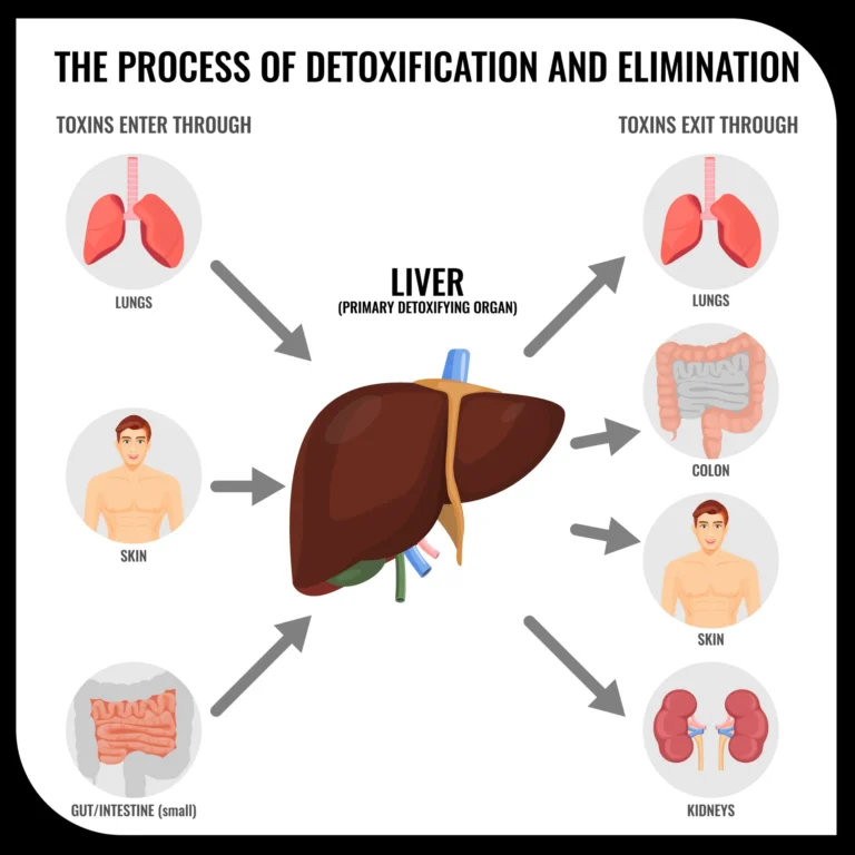 The Ultimate Guide to Liver Detox: How to Cleanse Your System Naturally