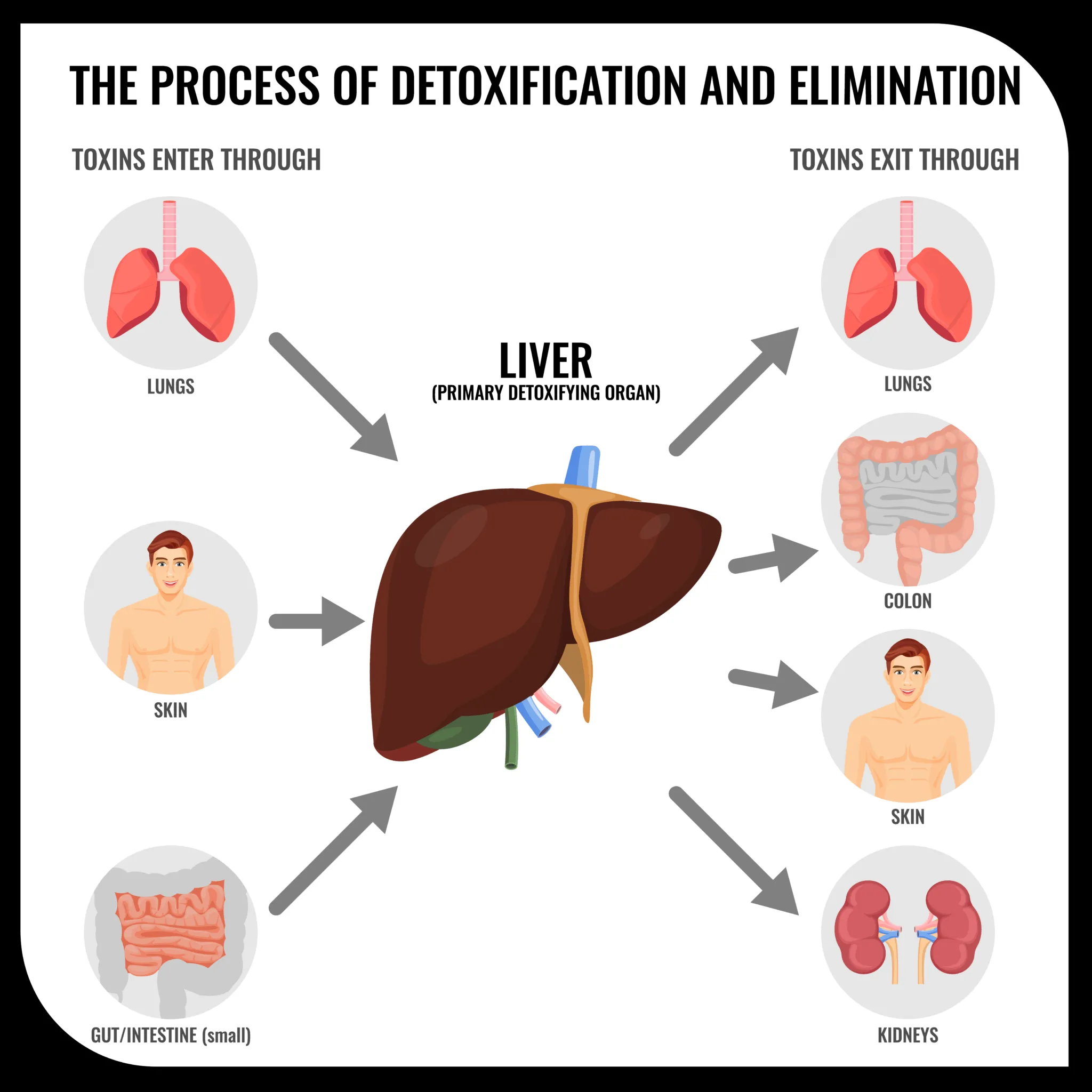Unlock The Benefits Of Liver Detox: Enhance Your Health And Wellbeing Unlock The Benefits Of Liver Detox: Enhance Your Health And Wellbeing