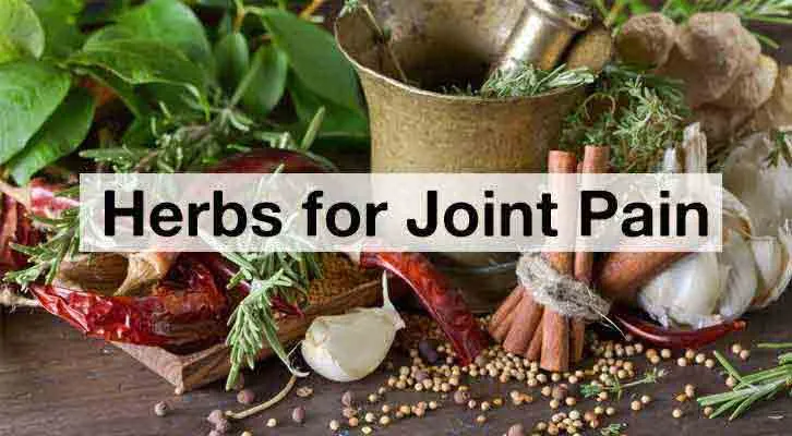 Top 10 Natural Remedies for Joint Pain Relief