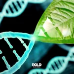 Unlocking the Secrets of Longevity: How Science is Prolonging Life