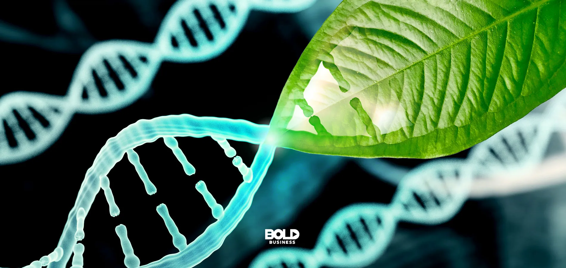 Unlocking The Secrets Of Longevity: How Science Is Prolonging Life Unlocking The Secrets Of Longevity: How Science Is Prolonging Life