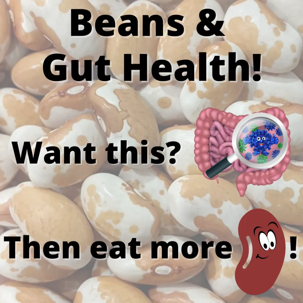 Beans: The Key to a Healthier Heart and Gut
