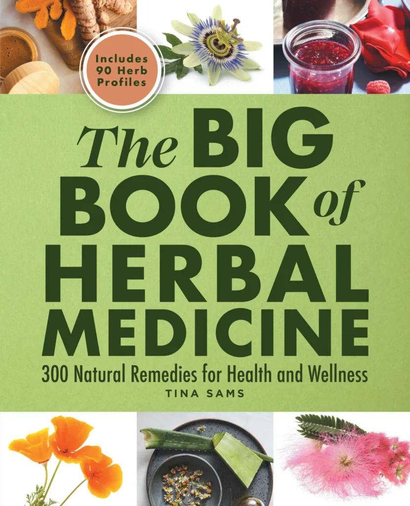 Discovering the Healing Properties of Natural Remedies