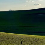 Recommended Body Fat Percentage for Women’s Long-Term Health