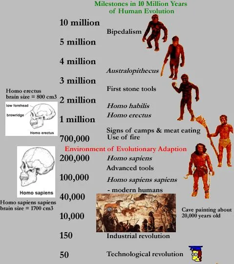The Science Behind Instincts: Understanding the Role of Evolution in Human Behavior