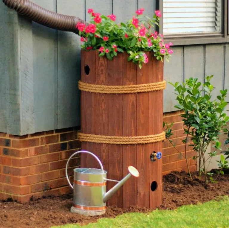 From Rain Barrels to Greywater Systems: DIY Water Solutions for Every Home