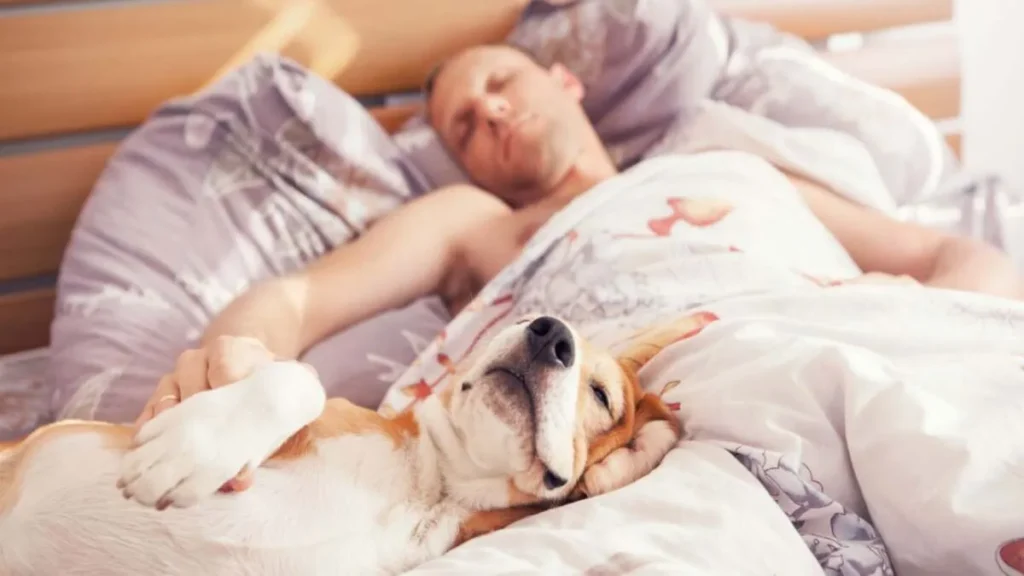 How to Create a Sleep Routine That’s Perfect for You How to Create a Sleep Routine That’s Perfect for You