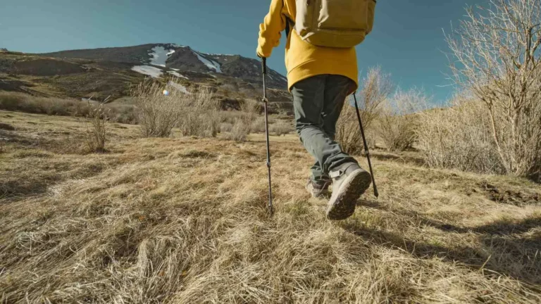 Attempted uphill strolling for weight reduction? Right here’s the way it can aid you