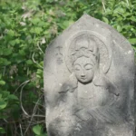 Ayurveda 101: A Beginner’s Guide to Holistic Health