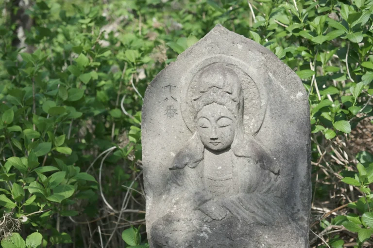 Ayurveda 101: A Beginner’s Guide to Holistic Health