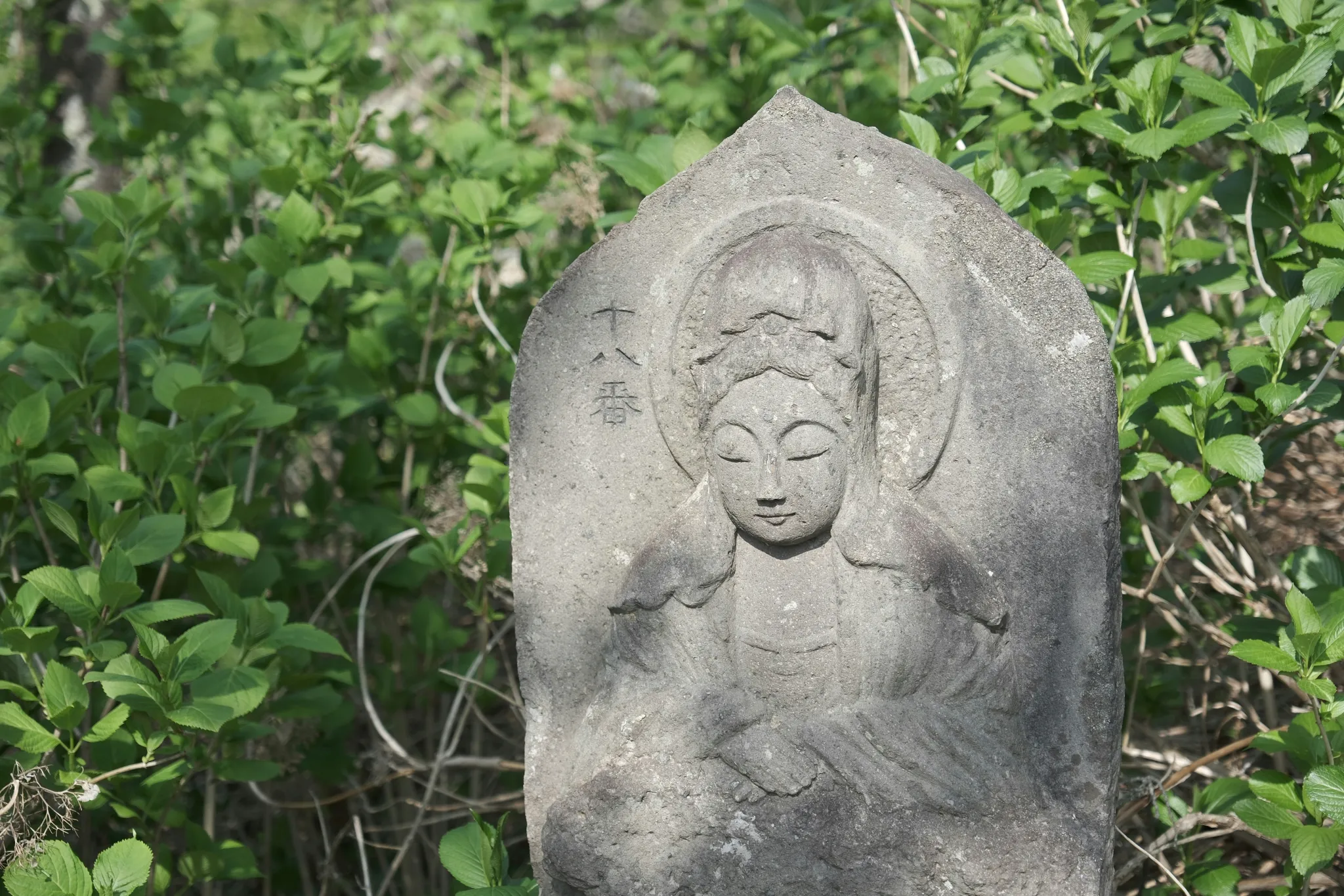 Ayurveda 101: A Beginner’S Guide To Holistic Health Ayurveda 101: A Beginner’S Guide To Holistic Health