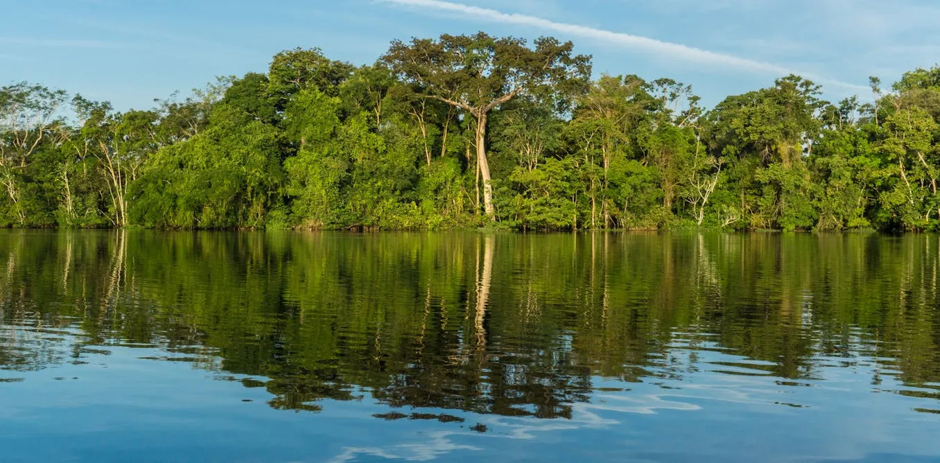 Governors Are The Combat In Opposition To Situation Exchange And Deforestation Around The Globe, Filling A Void Left By Way Of Presidents Governors Are The Combat In Opposition To Situation Exchange And Deforestation Around The Globe, Filling A Void Left By Way Of Presidents