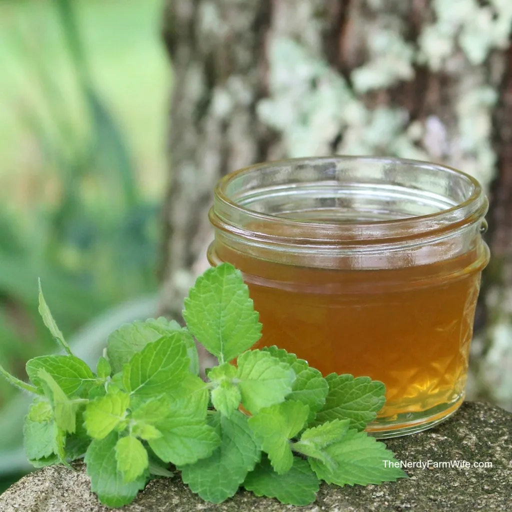 The Power of Lemon Balm: A Secret Weapon for Weight Loss