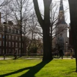 Trump once more blasts Harvard over global scholars as pass judgement on blocks revocation : NPR