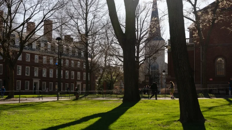 Trump once more blasts Harvard over global scholars as pass judgement on blocks revocation : NPR