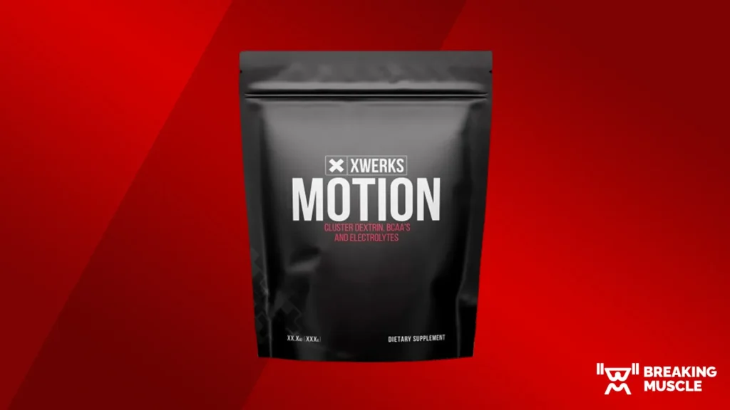 XWERKS Movement Evaluate (2024)