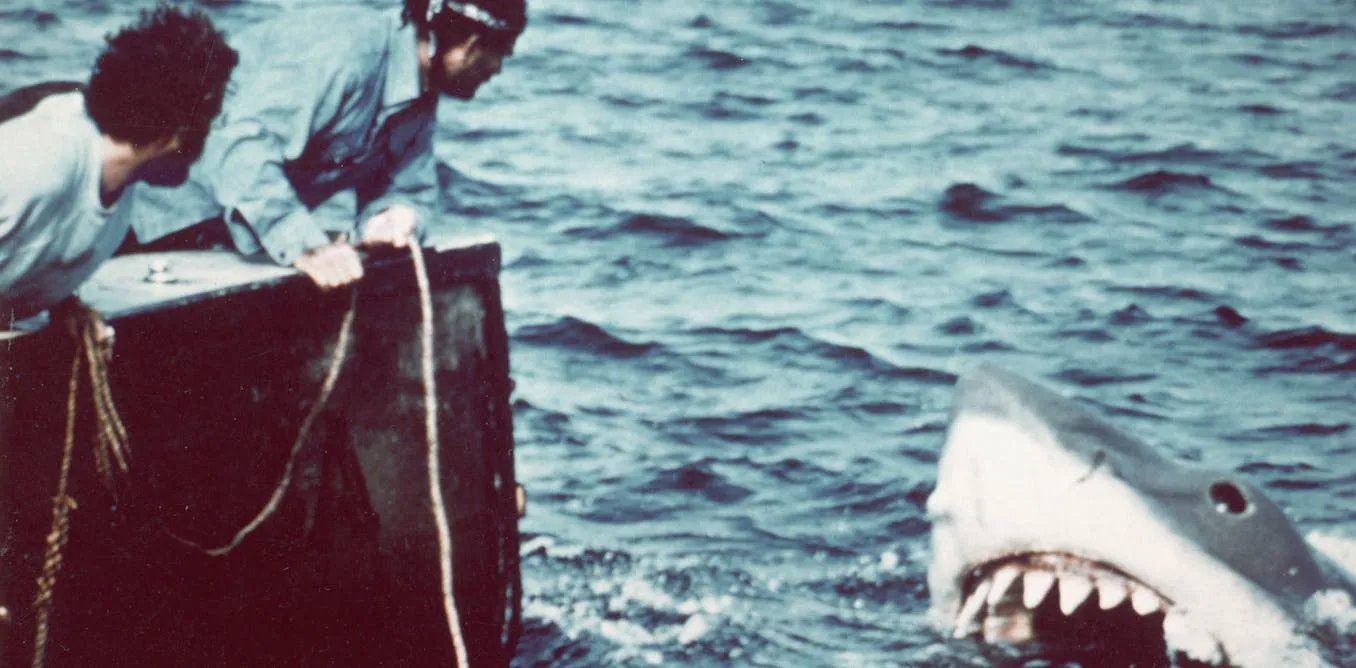 50 Years Upcoming ‘Jaws,’ Researchers Have Retired The Man-Eater Fantasy And Unhidden Extra About Sharks’ Superb Biology 50 Years Upcoming ‘Jaws,’ Researchers Have Retired The Man-Eater Fantasy And Unhidden Extra About Sharks’ Superb Biology