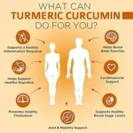 The Top Benefits of Curcumin for Your Body and Mind