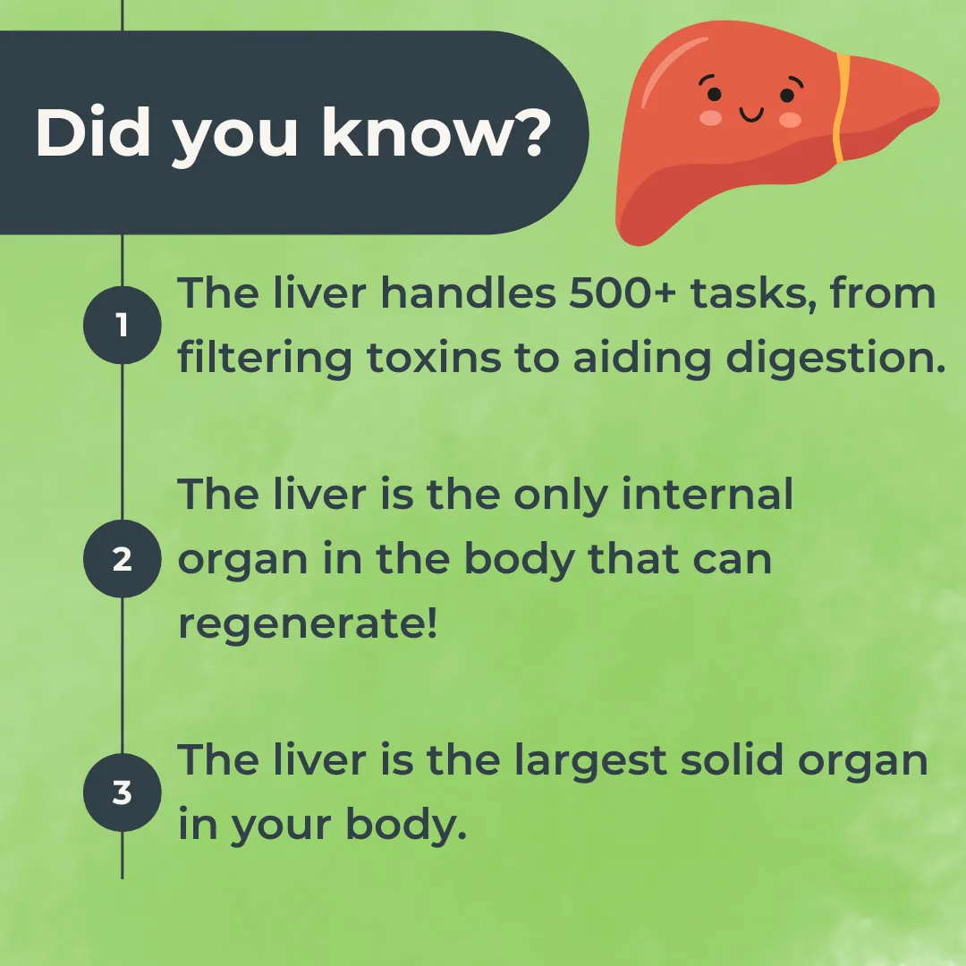 Boost Your Liver’S Function With These Easy Tips Boost Your Liver’S Function With These Easy Tips