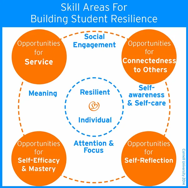 Emotional Resilience: How to Build and Maintain It